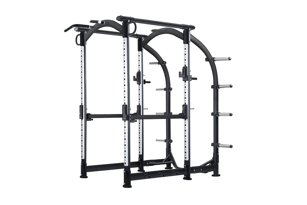 SportsArt A966 POWER CAGE
